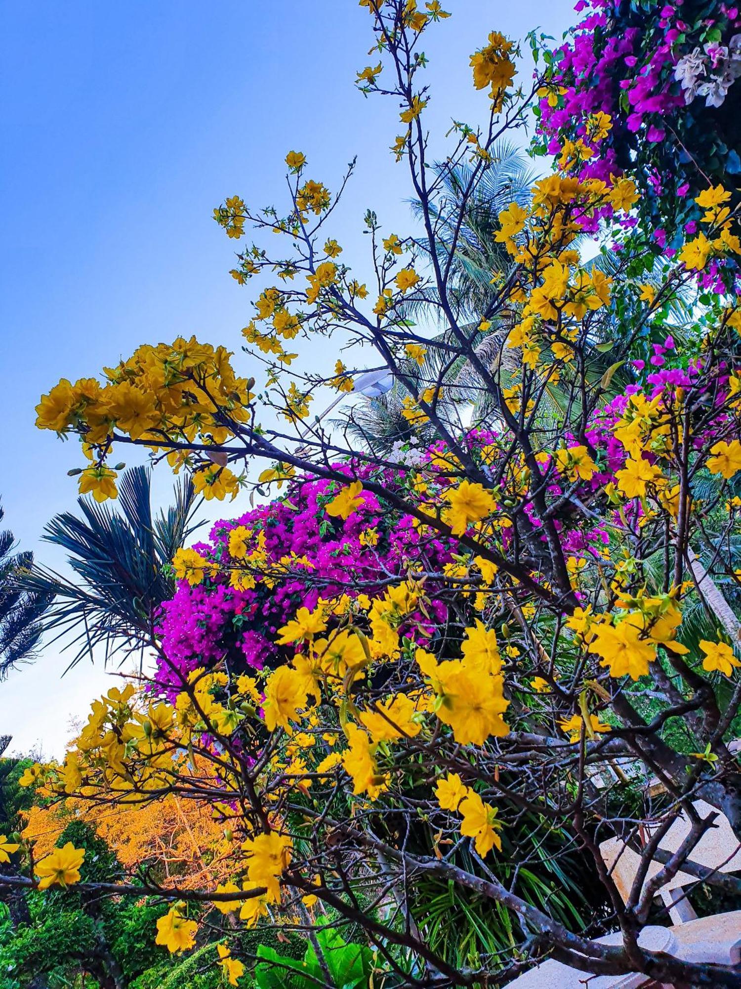 Green Hill Guest House Kien Luong Εξωτερικό φωτογραφία